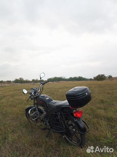 Альфа сабур