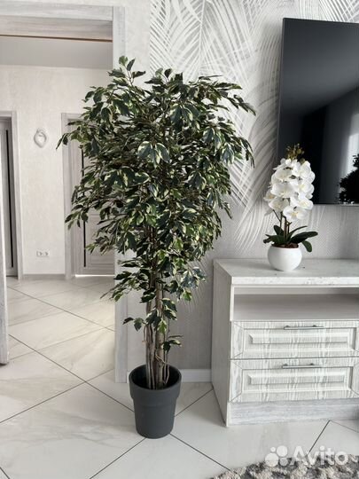 Искусственные цветы изИскусственное дерево в кашпо