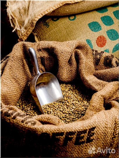 Кофе в зернах