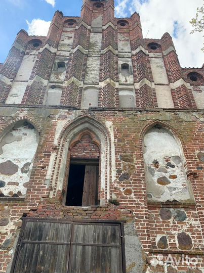 Vip экскурсии Калиниград