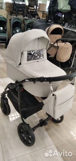 Pituso Коляска 2 в1 Nino короб+прогулка Кожа