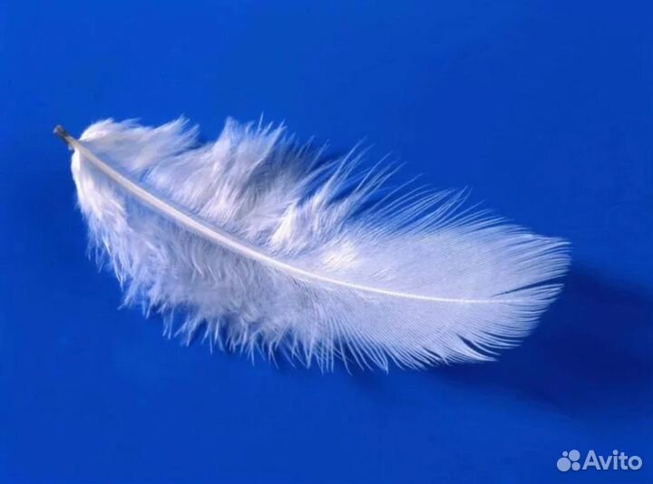 Подушка пуховая большая