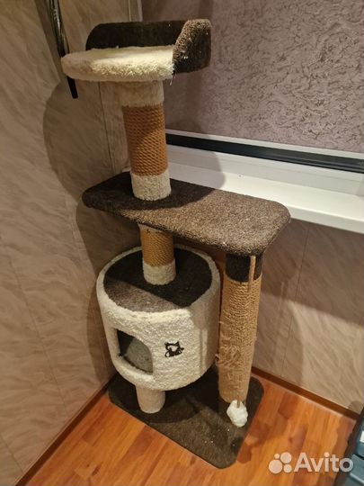 Кошачий Домик