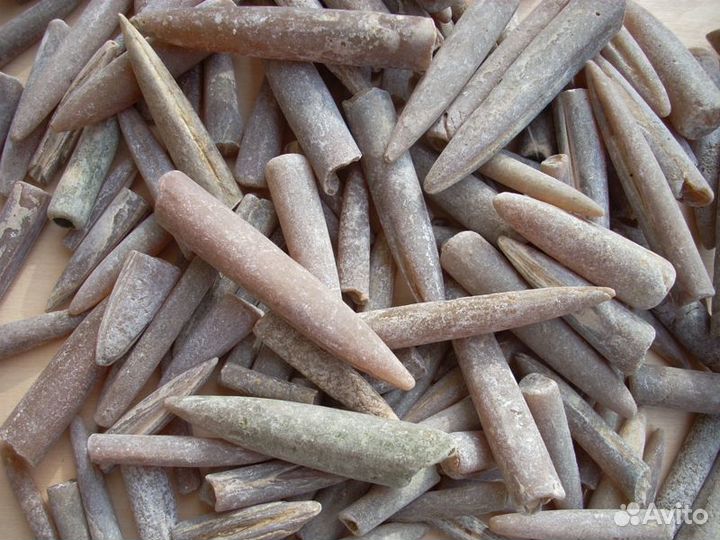 Чертов палец (Белемнит)