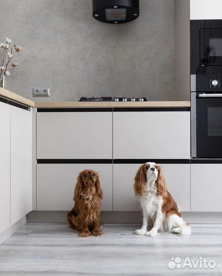 Кухни на заказ от производителя