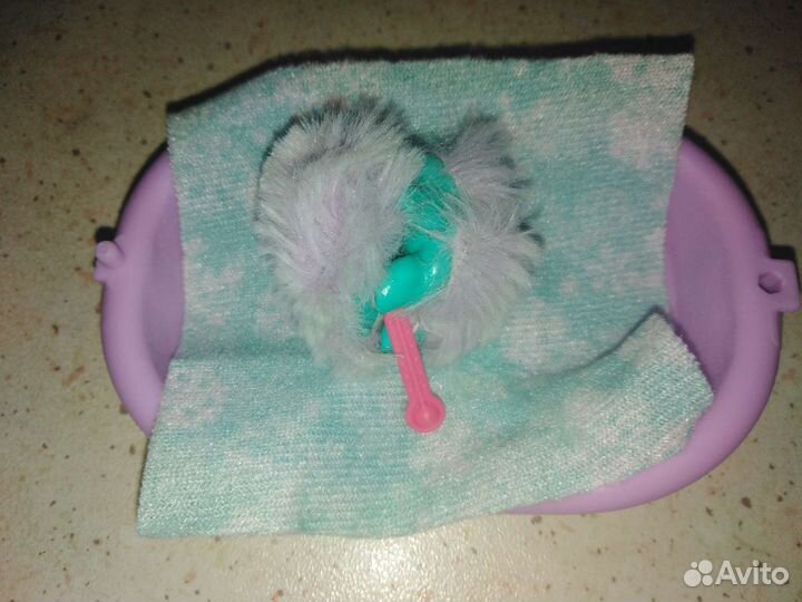 Вылечи зверушку