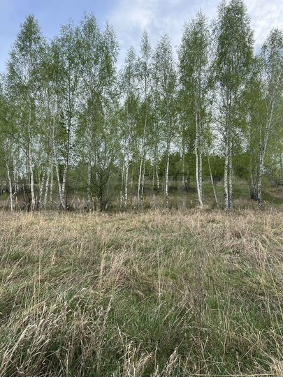 Участок 10 сот. (СНТ, ДНП)