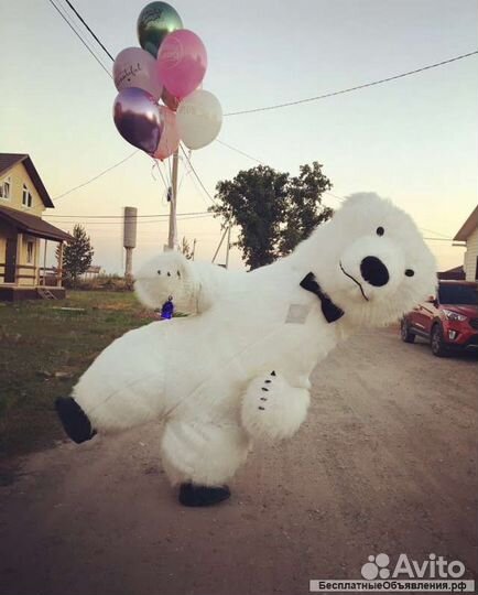 Поздравление белого медведя