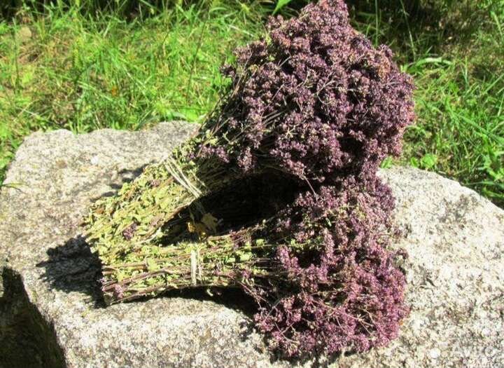 Травы для бани Запарки для бани