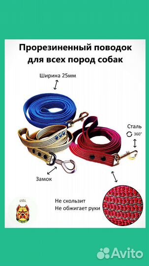 Поводок, амуниция для собак, сворка, водилка