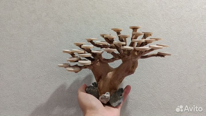 Аквариум под ключ