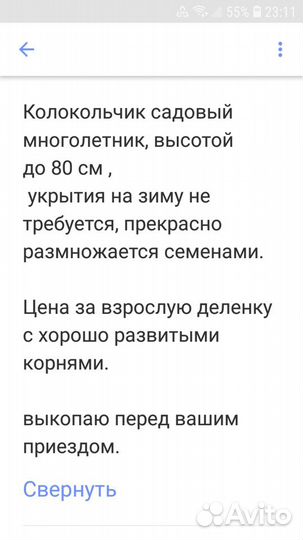 Колокольчик