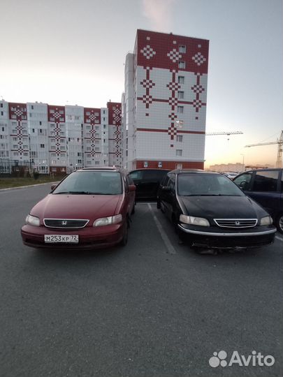 Honda odyssey на разбор