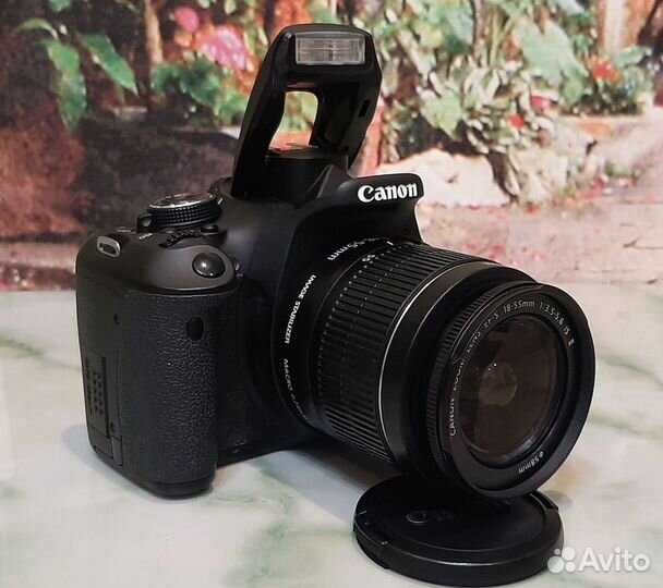 Canon EOS 650D 18-135 STM / Canon EOS 600D 18-55