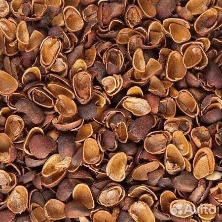 Скорлупа кедрового ореха в мешках (60 литров)