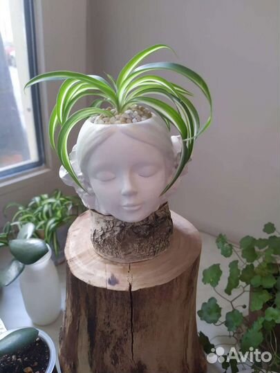 Кашпо-голова для цветов, гипс