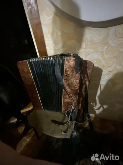 Баян Кировский 3