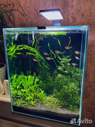 Аквариум aquael 30