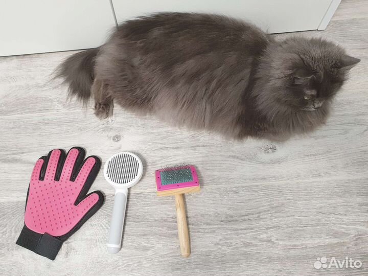 Перчатка, пуходерка, щетка для вычесывания кошек