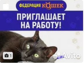 Уборщик/уборщица