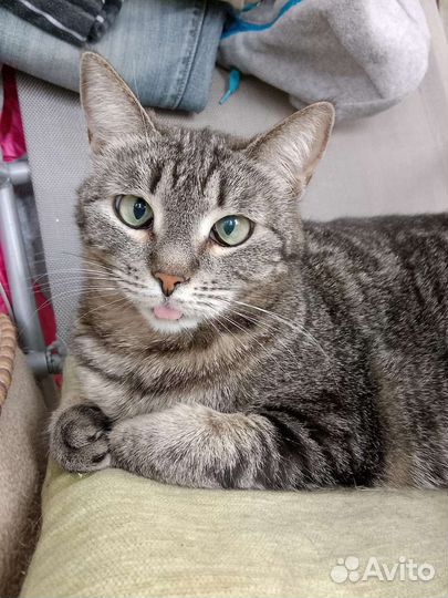 Озорная Бетти ищет дом