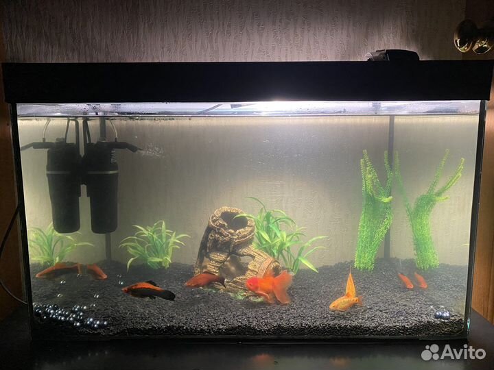 Аквариум на 120 литров