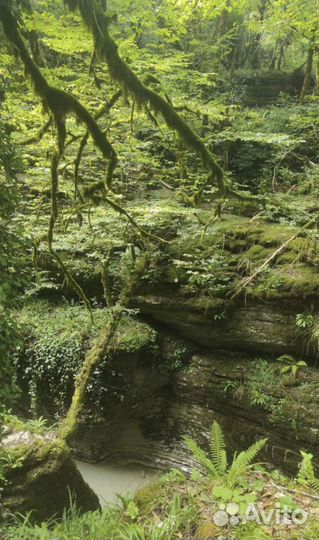 Сказочный каньон