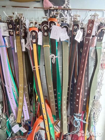 Ошейники для собак