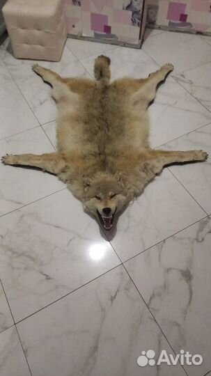 Волк сибирский (ковер )