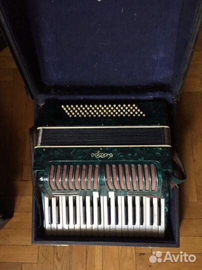 Аккордеон 