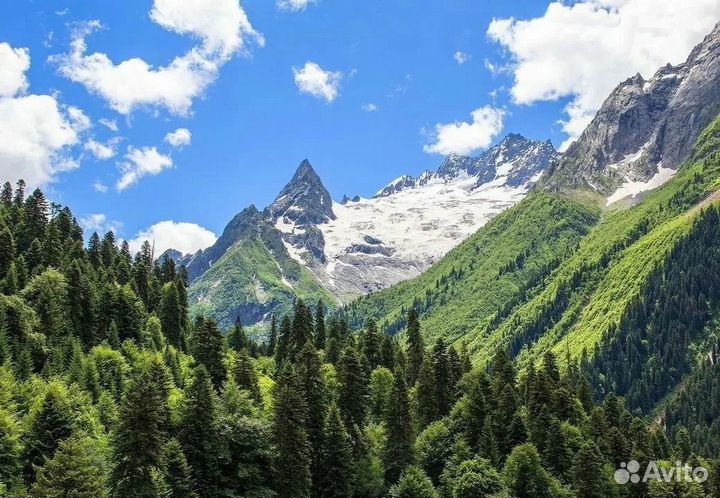 Экскурсии на Домбай