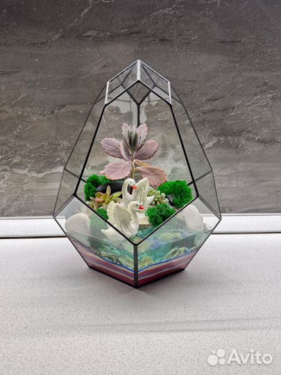 Флорариум Подарок на 8 Марта Цветы