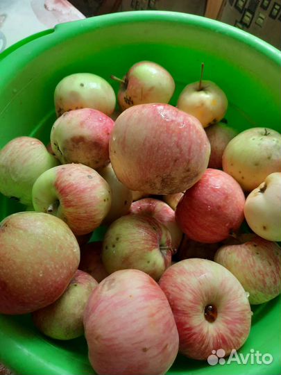 Сушеные яблоки