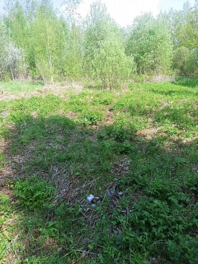 Участок 6 сот. (СНТ, ДНП)