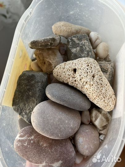 Камешки с моря