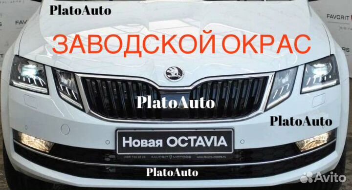 Капот белый на Шкода Октавия a7 2019+