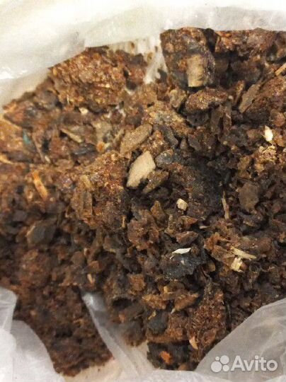 Прополис пчелиный