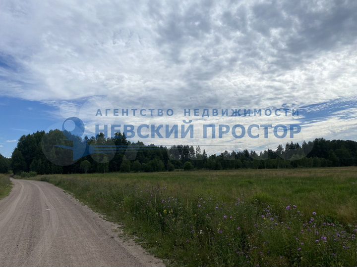 Участок 3,5 га (СНТ, ДНП)