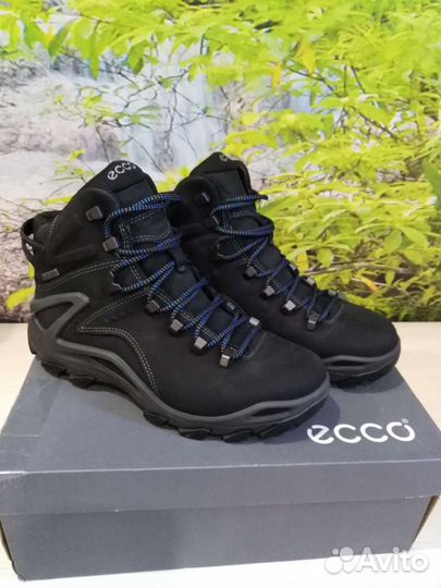 Terra deals evo ecco