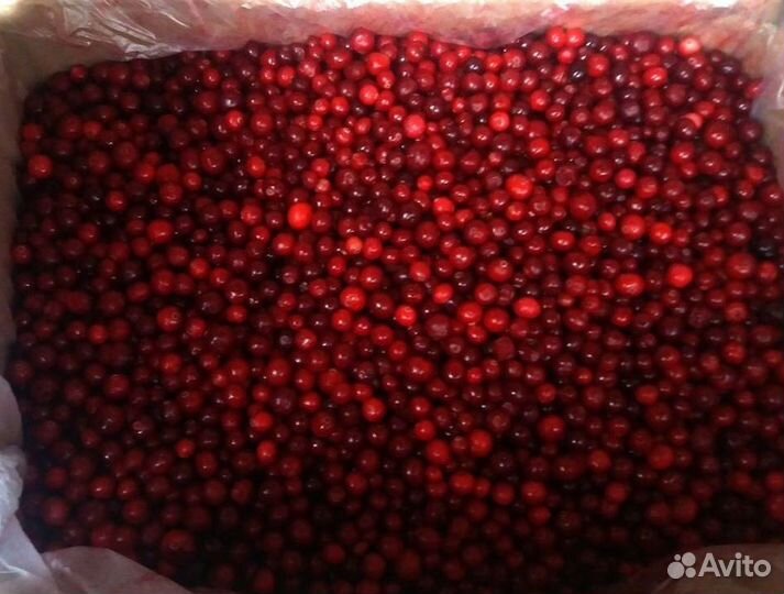 Замороженные ягоды оптом