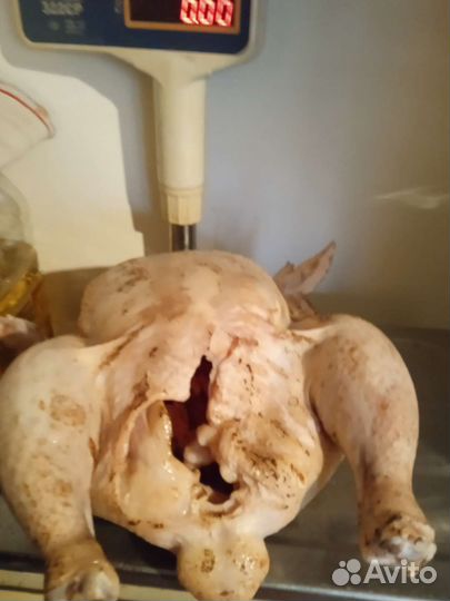 Мясо бройлера и петушков