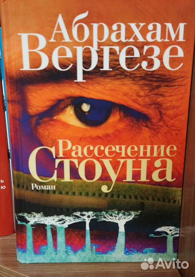 Рассечение Стоуна