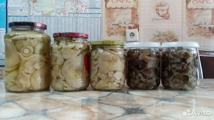 Осиновые грузди, опята. Маринованные