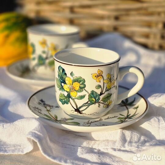 Кофейная пара Villeroy&Boch Botanica Сhelidonium Majus