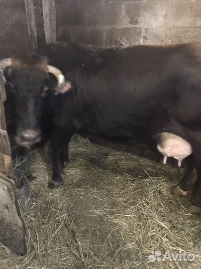 Подсобное личное хозяйство