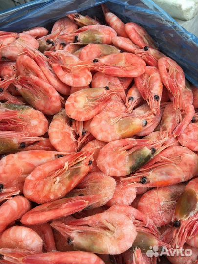 Морепродукты в наличии сочные креветки