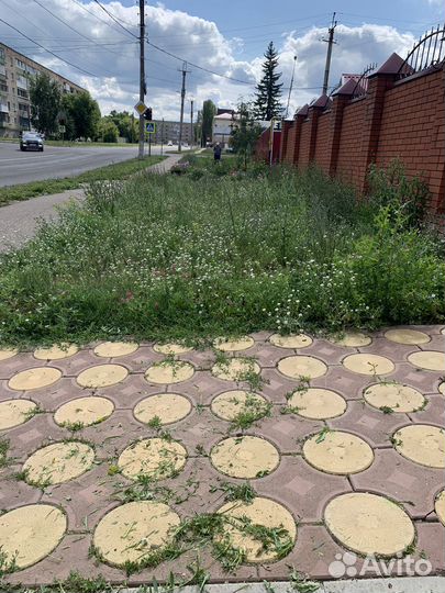 Покос травы триммером