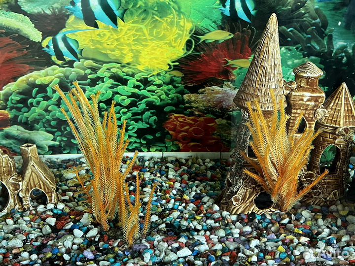 Аквариум с тумбой 600 ml