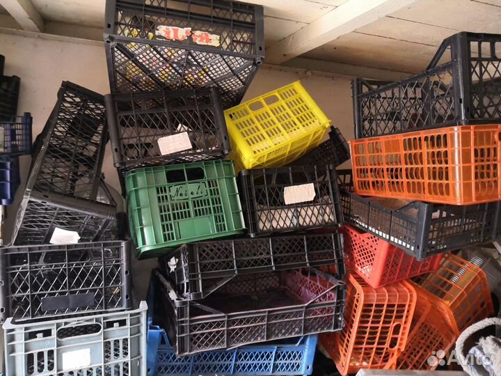 Ящики для овощей / фруктов