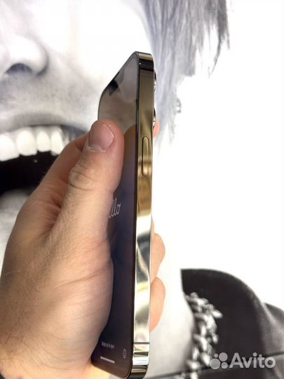 iPhone 13 Pro, 1 ТБ